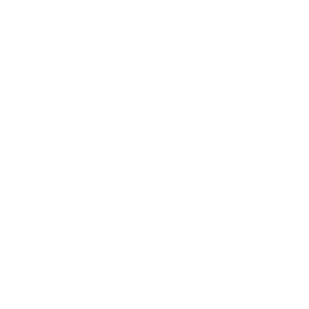 BMW Best Running Boards