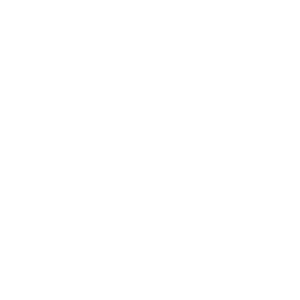 Ford Best Running Boards