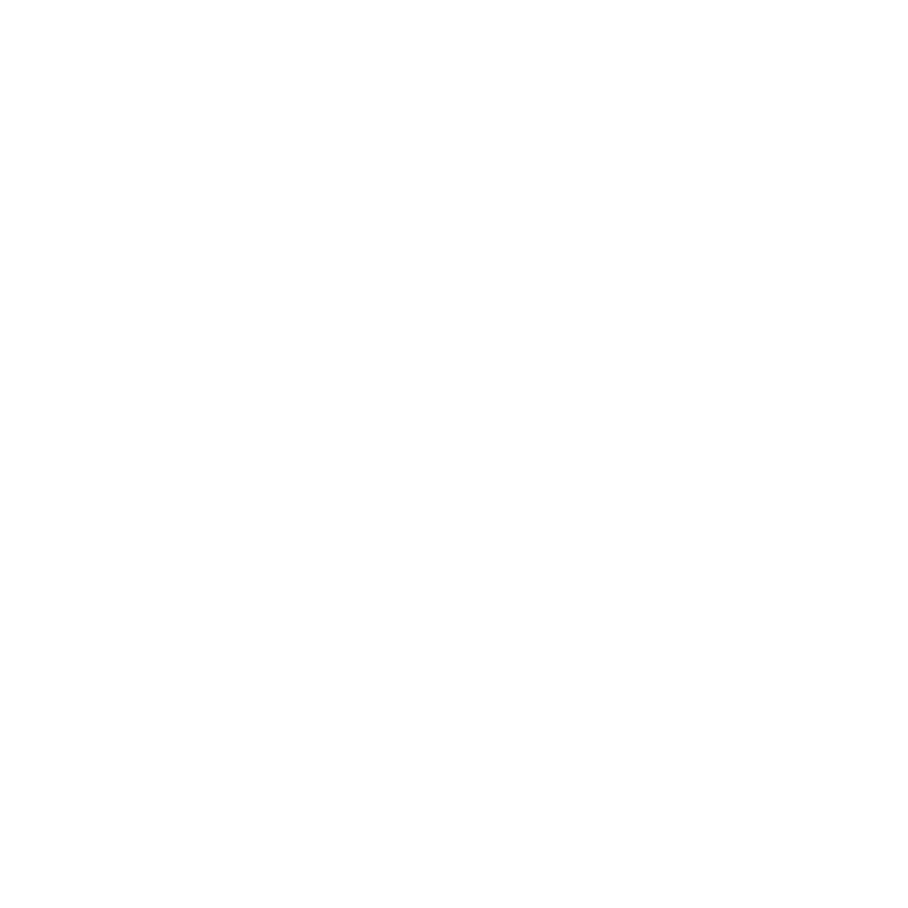 Dodge Best Running Boards