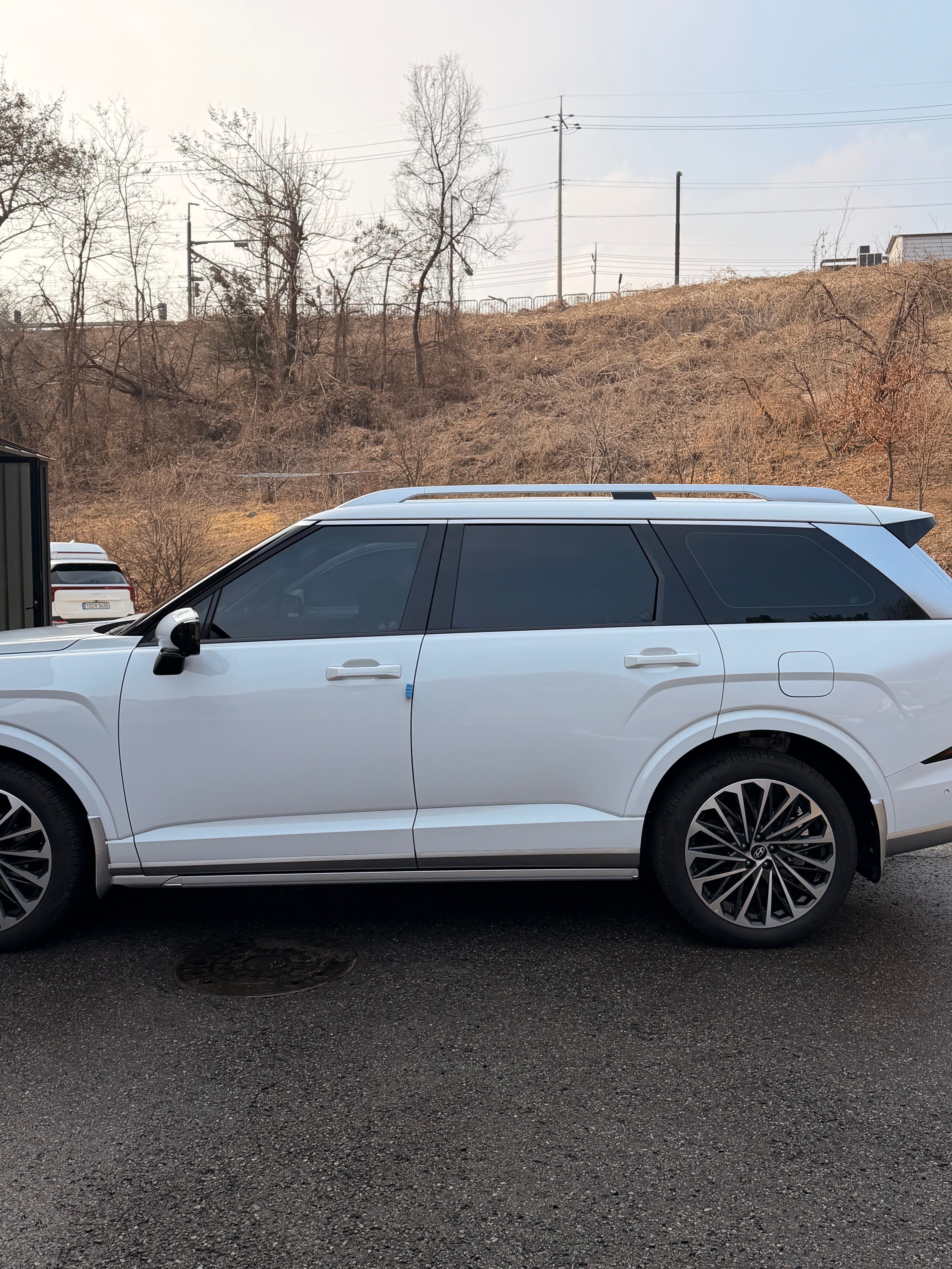 Hyundai Palisade 2026 Signature Running boards